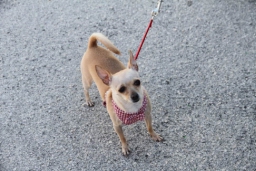 00 Lucca Sicula parcheggio025.JPG